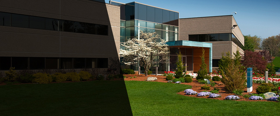 Earlington Landscapers