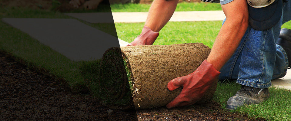 Earlington Landscapers